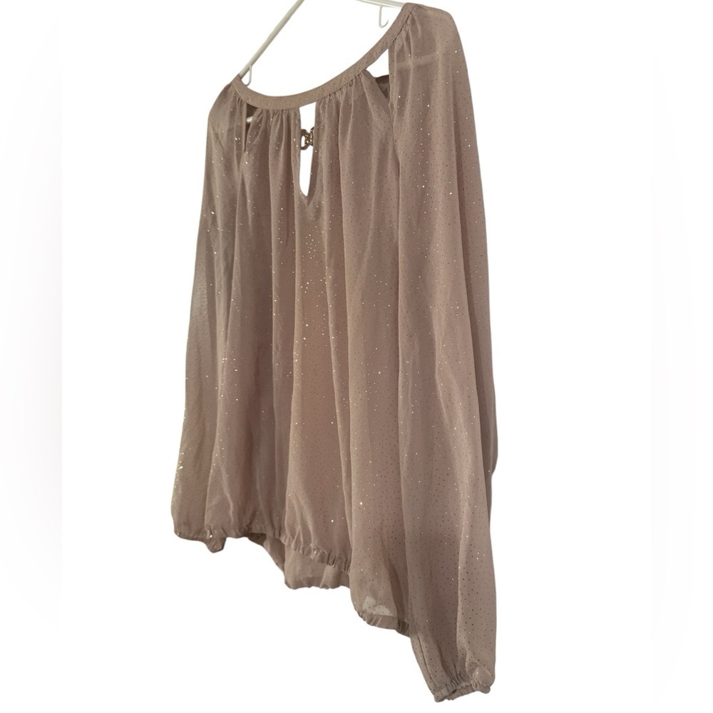 Jennifer Lopez JLOSparkling Blush Champagne Sheer Blouse Size XL - Picture 3 of 9